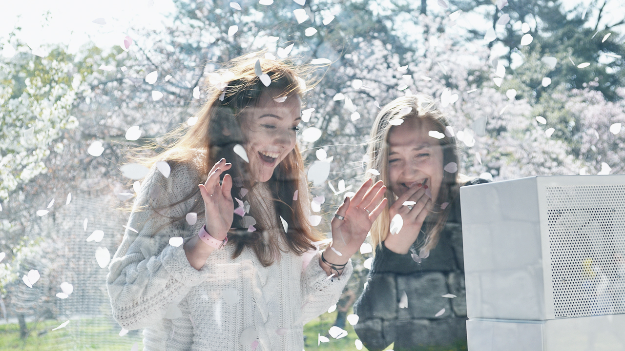 img_sakura_fubuki_maker_04