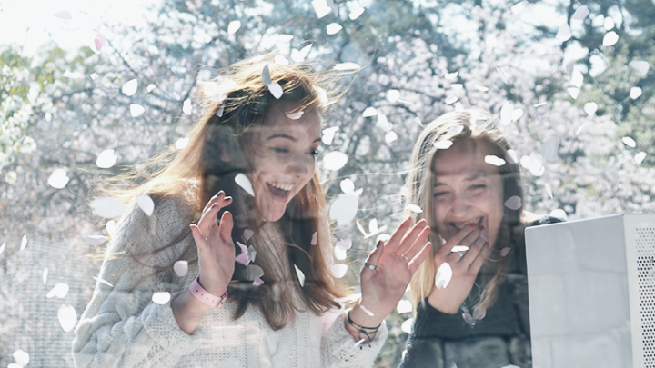 smb_sakura_fubuki_maker